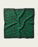 Drape Silk Scarf
